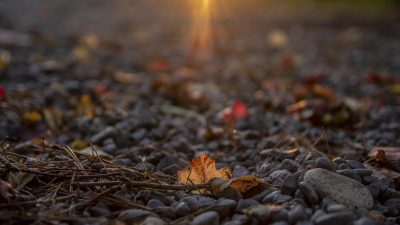 嫩草视频分类体系2026年10月全面升级说明，展示新增标签与产区调整方案